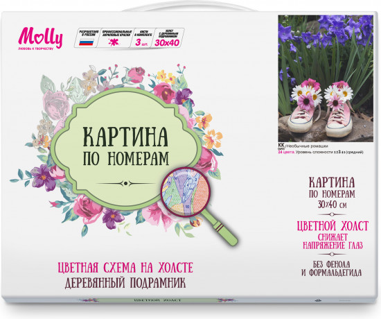 Картина по номерам «Необычные ромашки»