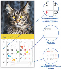 Календарь-органайзер «Загадочные кошки» - Фото 1