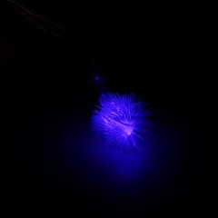Гирлянда «Метраж» с насадкой «Ежики» 3 м, LED-20-3,6V, мультицвет - Фото 4