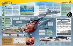 Гиннесс. Мировые рекорды 2016 - Фото 6