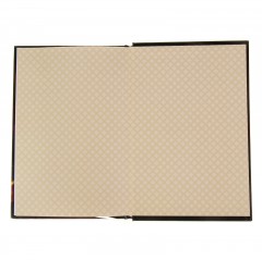 Ежедневник «История моего успеха» 96 листов - Фото 2