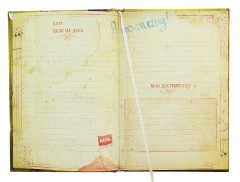 Ежедневник «Книга моих достижений» 96 листов - Фото 3