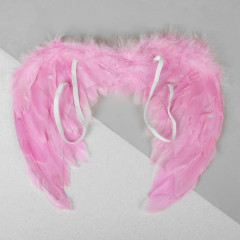 Крылья ангела - Фото 1