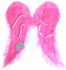 Крылья ангела - Фото 1