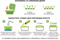 Проращиватель для кошек бытовой - Фото 2