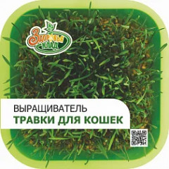 Проращиватель для кошек бытовой - Фото 4