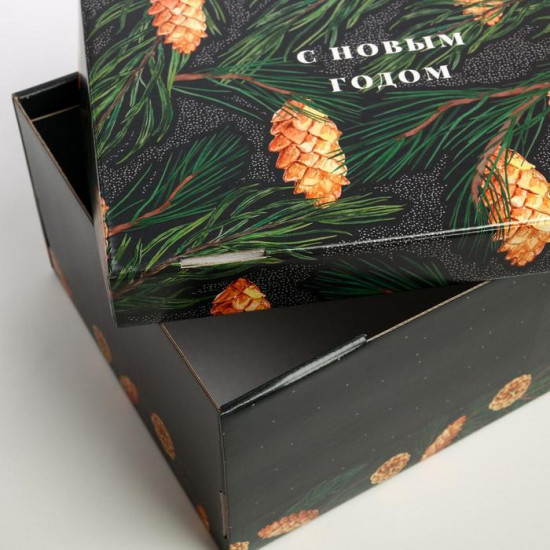 Коробка складная «Шишки»