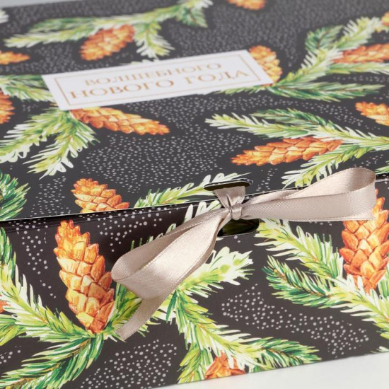 Коробка складная «Шишки»