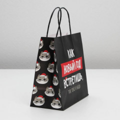 Пакет подарочный «Так тебе и надо» - Фото 1