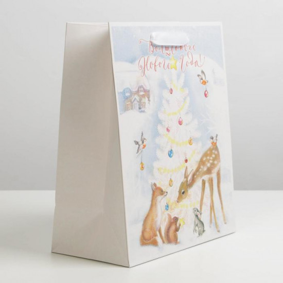 Пакет подарочный «Волшебного Нового года»