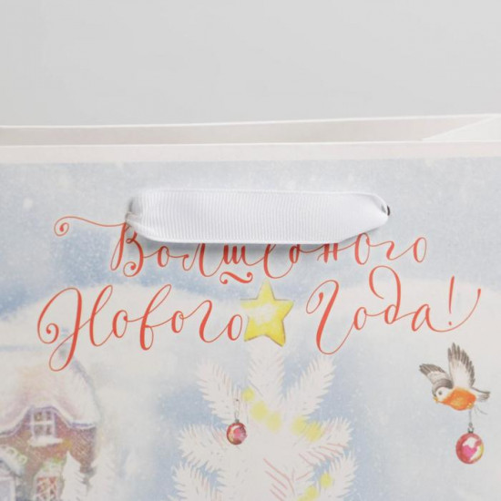 Пакет подарочный «Волшебного Нового года»