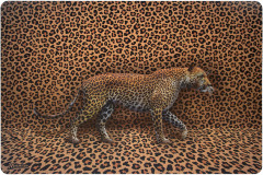 Набор салфеток сервировочных «Сафари» - Фото 4