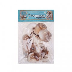 Набор ракушек 100 гр - Фото 1