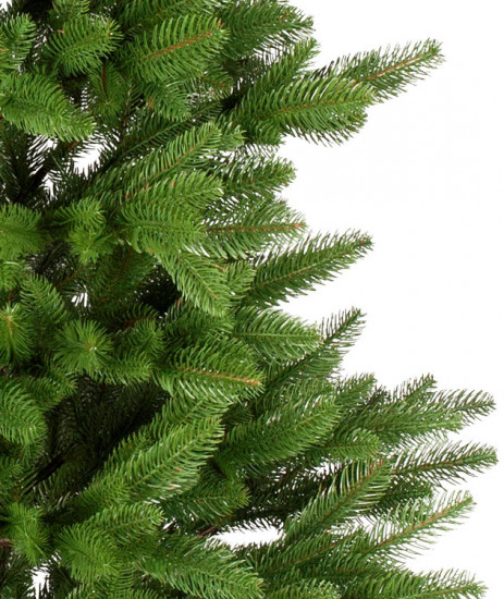 Елка «Ollendorf»