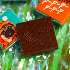 Шоколад молочный в открытке «Ну, допустим, р-р-р» - Фото 2