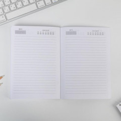 Ежедневник «Я как сладенькая мандаринка» - Фото 3