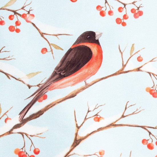 Набор подарочный «Winter birds»