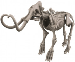 Археологические раскопки «Мамонт» - Фото 2