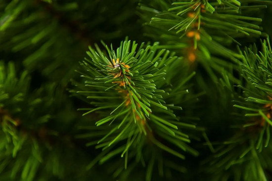 Ель искусственная