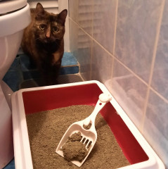 Совок-лопатка для туалета - Фото 4