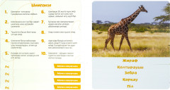 Карточки Домана «Ол кім? Бұл не? Африка жануарлары» - Фото 2