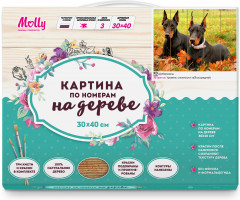 Картина по номерам «Доберманы» - Фото 1