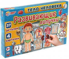 Игра развивающая с липучками «Тело человека» - Фото 4