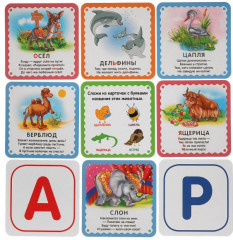 Игра настольная «М. Дружинина. Азбука животных» - Фото 1