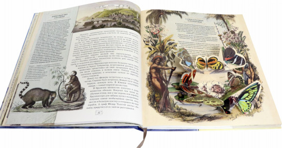 Книга-путешествие. Капитан Крузенштерн