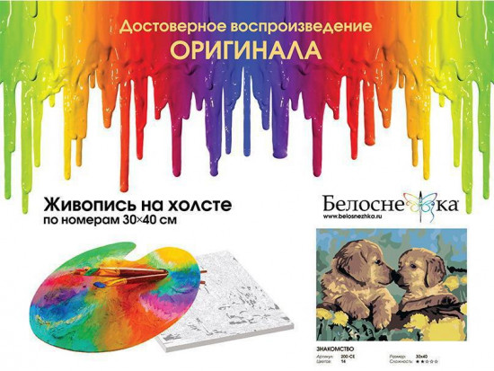 Картина по номерам «Знакомство»