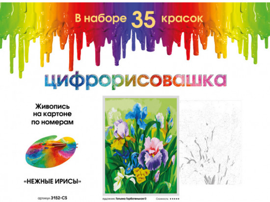 Картина по номерам «Нежные ирисы»