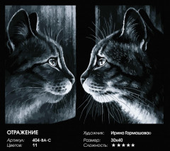 Картина по номерам «Отражение» - Фото 2
