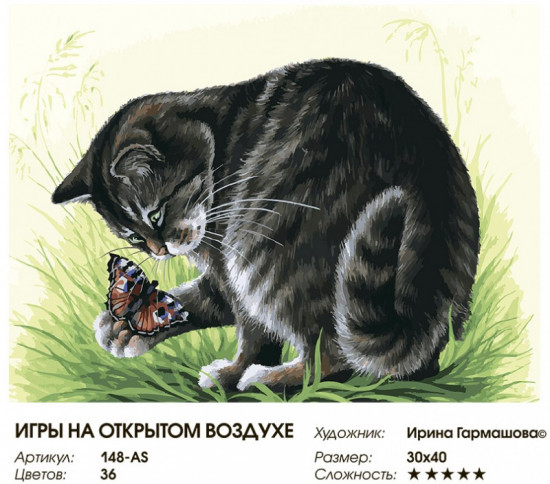 Картина по номерам «Игры на открытом воздухе»