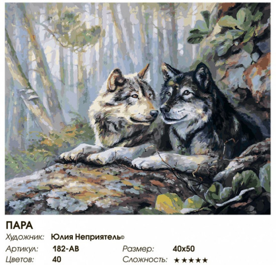 Картина по номерам «Пара»