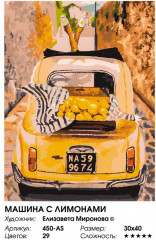 Картина по номерам «Машина с лимонами» - Фото 2