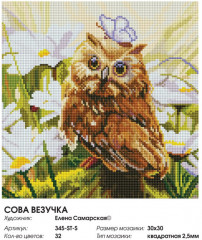 Мозаика алмазная на подрамнике «Сова Везучка» - Фото 1