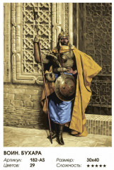 Картина по номерам «Воин. Бухара» - Фото 1