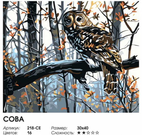 Картина по номерам «Сова»