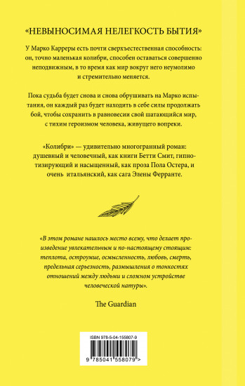 Колибри