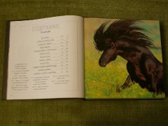 Лошади. Самые лучшие фотографии - Фото 3