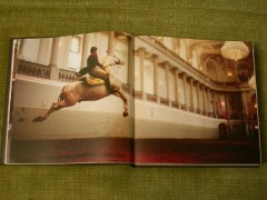 Лошади. Самые лучшие фотографии - Фото 6