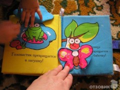 Книжка-игрушка "Чудеса природы" - Фото 5