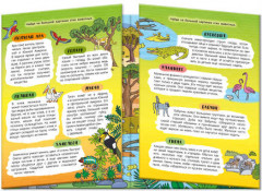 Книжка-картинка. Жаркие страны - Фото 1