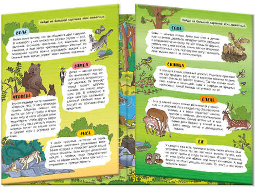 Книжка-картинка. Зелёный лес