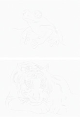 Папка для акварели с эскизами «Животные» - Фото 4