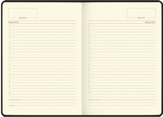 Ежедневник недатированный