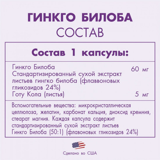 Капсулы «Гинкго Билоба №100»