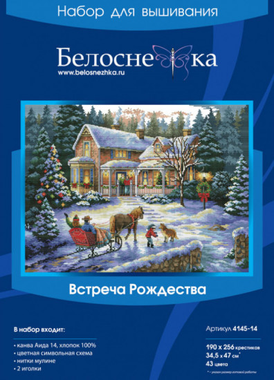 Набор для вышивания «Встреча рождества»