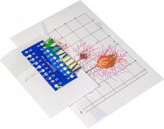 Набор для вышивания «Полевой василек» - Фото 2