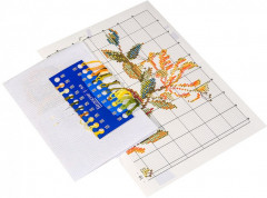 Набор для вышивания «Страстоцвет изящный» - Фото 2